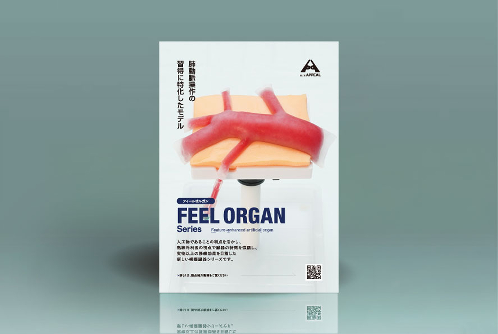 Feel Organ シリーズ 肺動脈モデル リーフレット